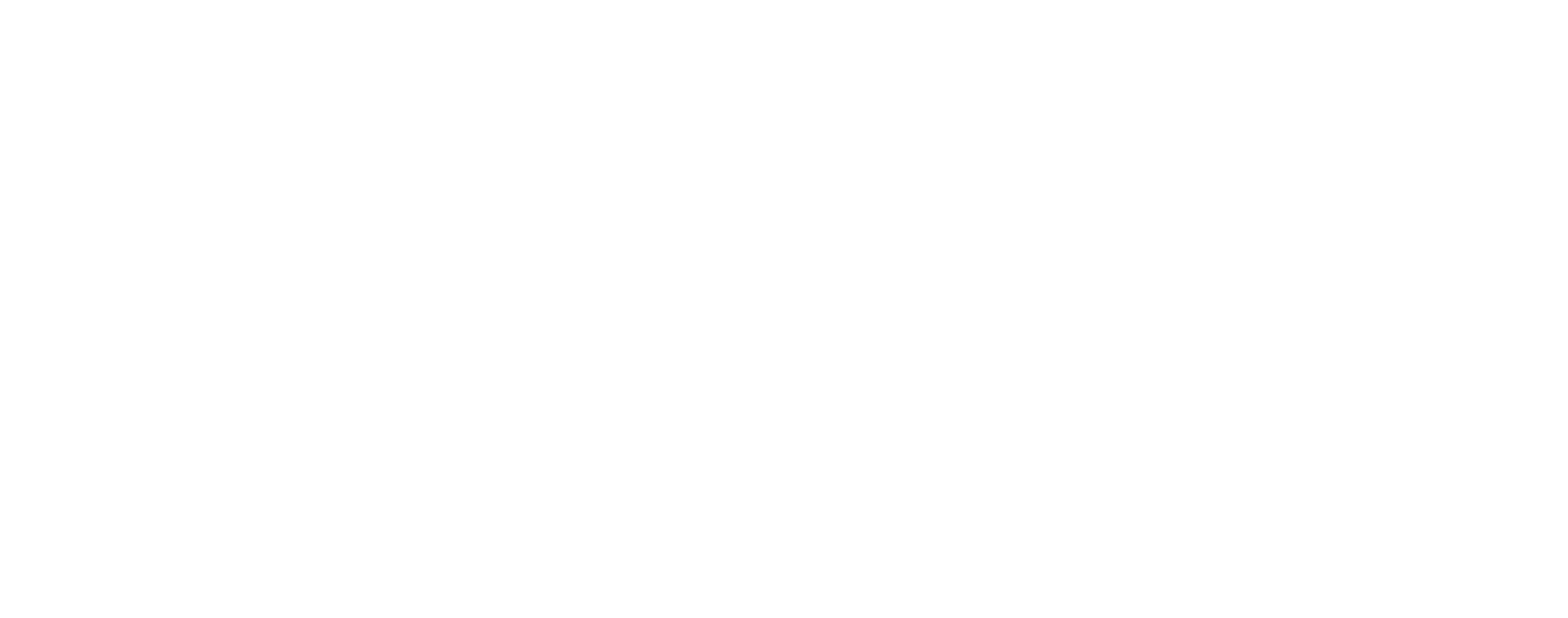 ecrin white logo