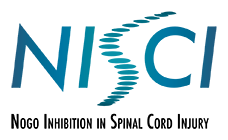 NISCI logo