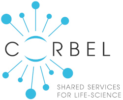 "CORBEL project"