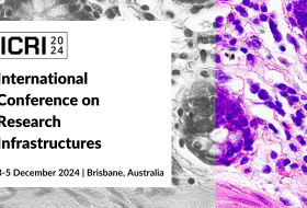 International Conference on Research Infrastructures