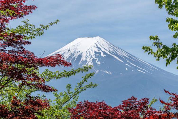 CRIGH General Assembly Tokyo Japan