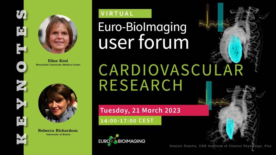 fifth Euro-BioImaging User Forum: “Cardiovascular research”